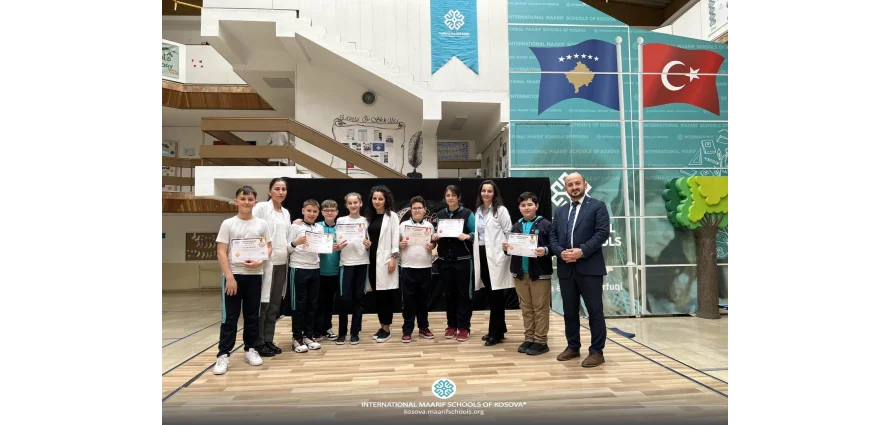 Successes in the International STEM Olympiad