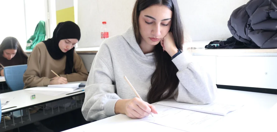 Successful Completion of Achievement and Matura Practice Tests