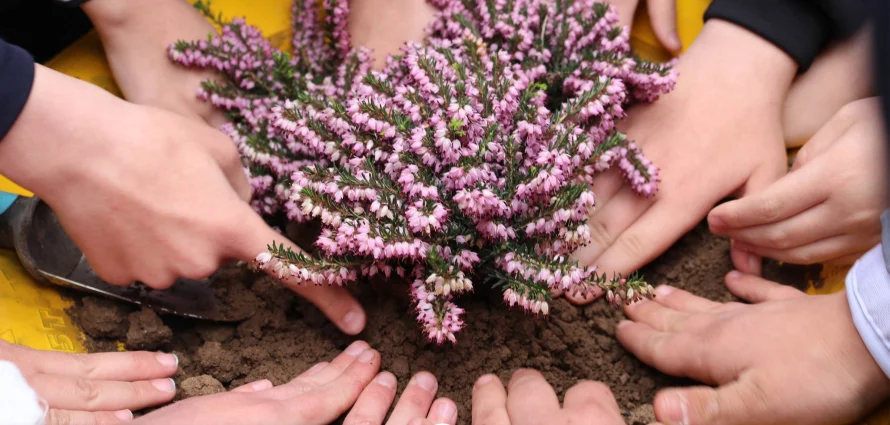 Growing Together with Understanding 🧩