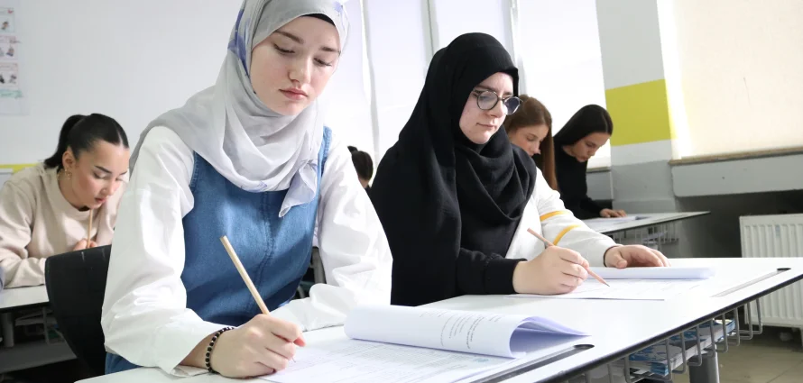 Monitoring Student Progress for Achievement & Matura Success