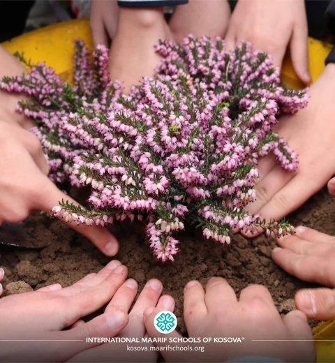 Growing Together with Understanding 🧩