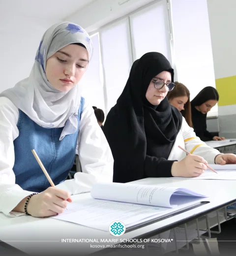 Monitoring Student Progress for Achievement & Matura Success